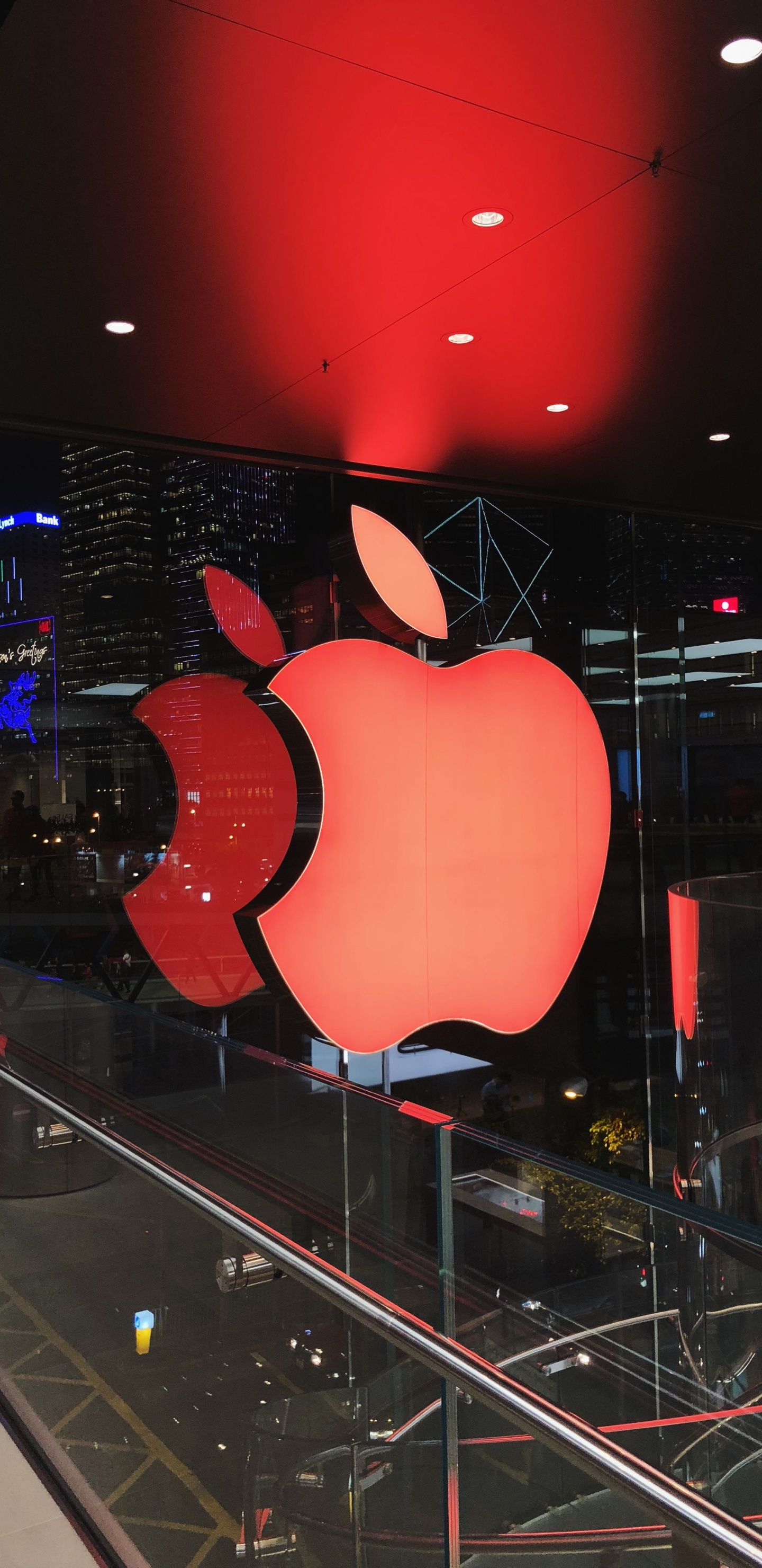 Обои apple, освещение, кармин, яблоко, фрукты в разрешении 1440x2960