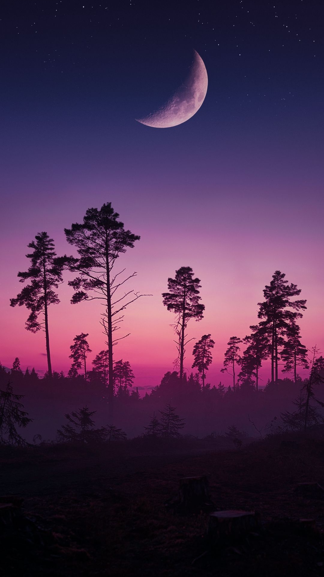 Обои устойчивость, атмосфера, экорегион, луна, свет в разрешении 1080x1920