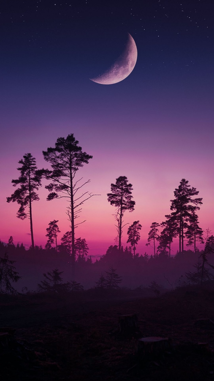 Обои устойчивость, атмосфера, экорегион, луна, свет в разрешении 720x1280