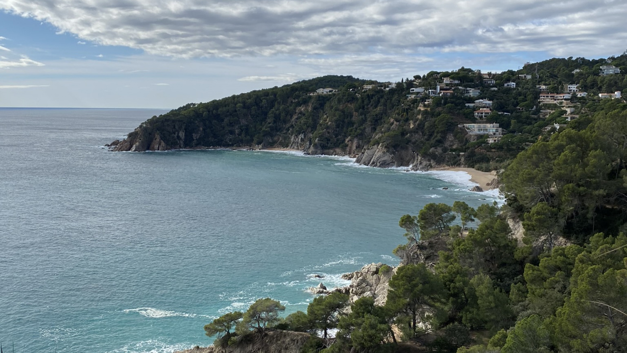 Обои побережье, растительность, облако, растительное сообщество, берег в разрешении 1280x720