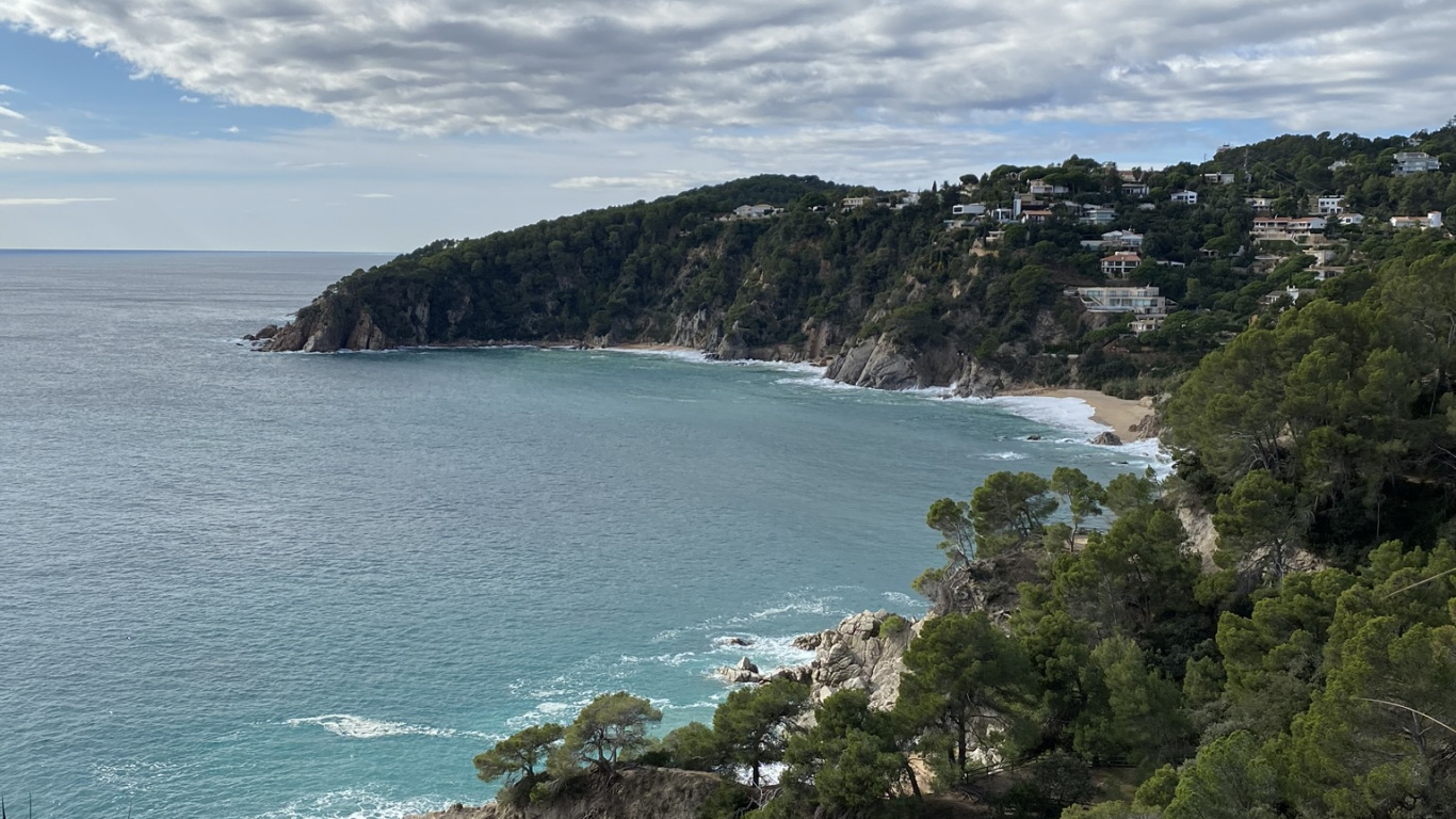 Обои побережье, растительность, облако, растительное сообщество, берег в разрешении 1366x768