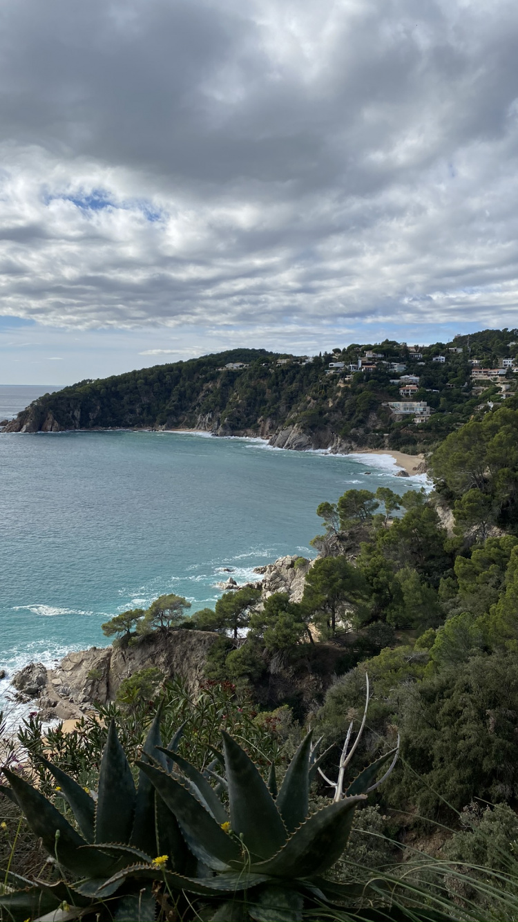 Обои побережье, растительность, облако, растительное сообщество, берег в разрешении 750x1334