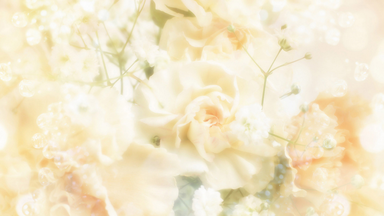 Обои свадьба, цветок, цветочный дизайн, цветочный букет, желтый в разрешении 1280x720