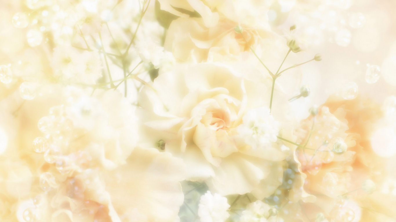 Обои свадьба, цветок, цветочный дизайн, цветочный букет, желтый в разрешении 1366x768