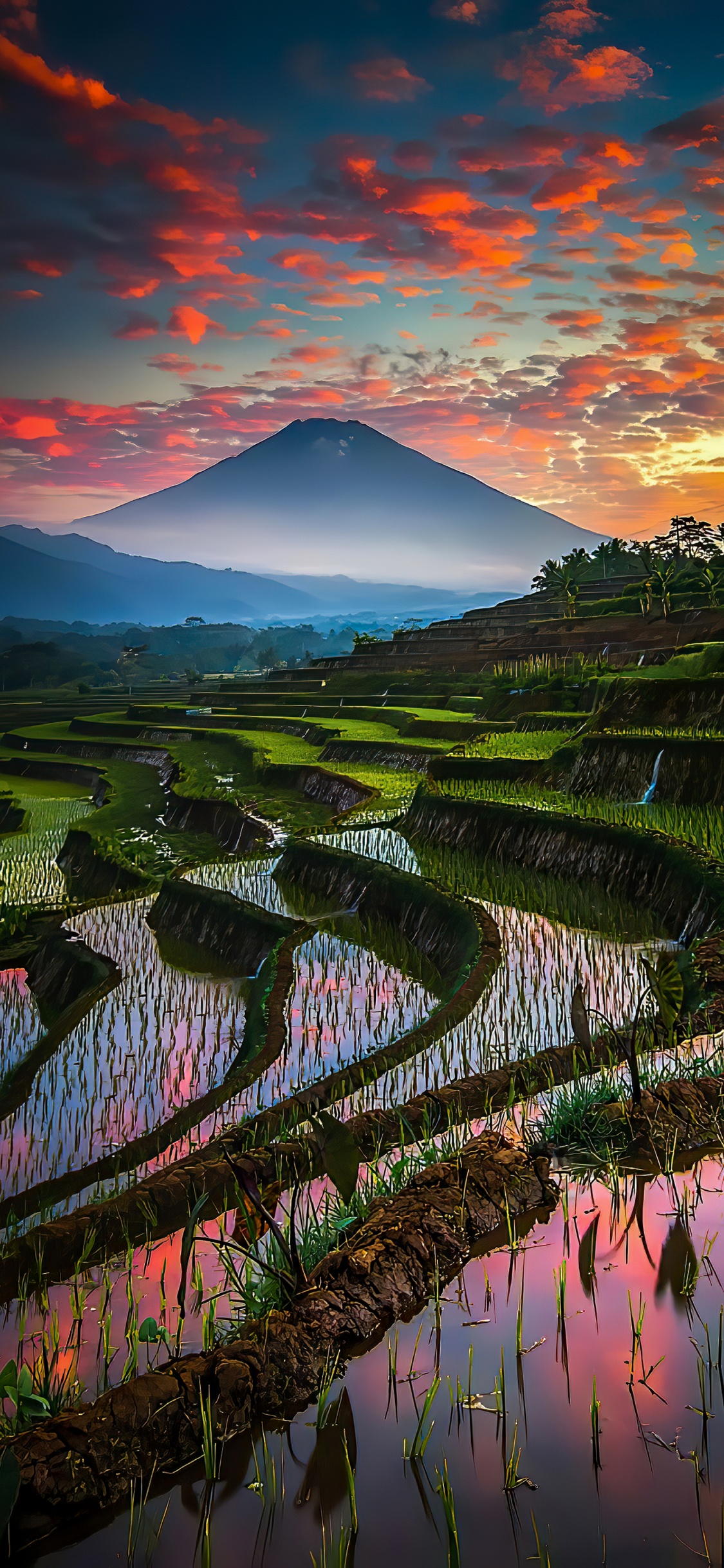 Обои бали, центральная ява, облако, растение, гора в разрешении 1125x2436