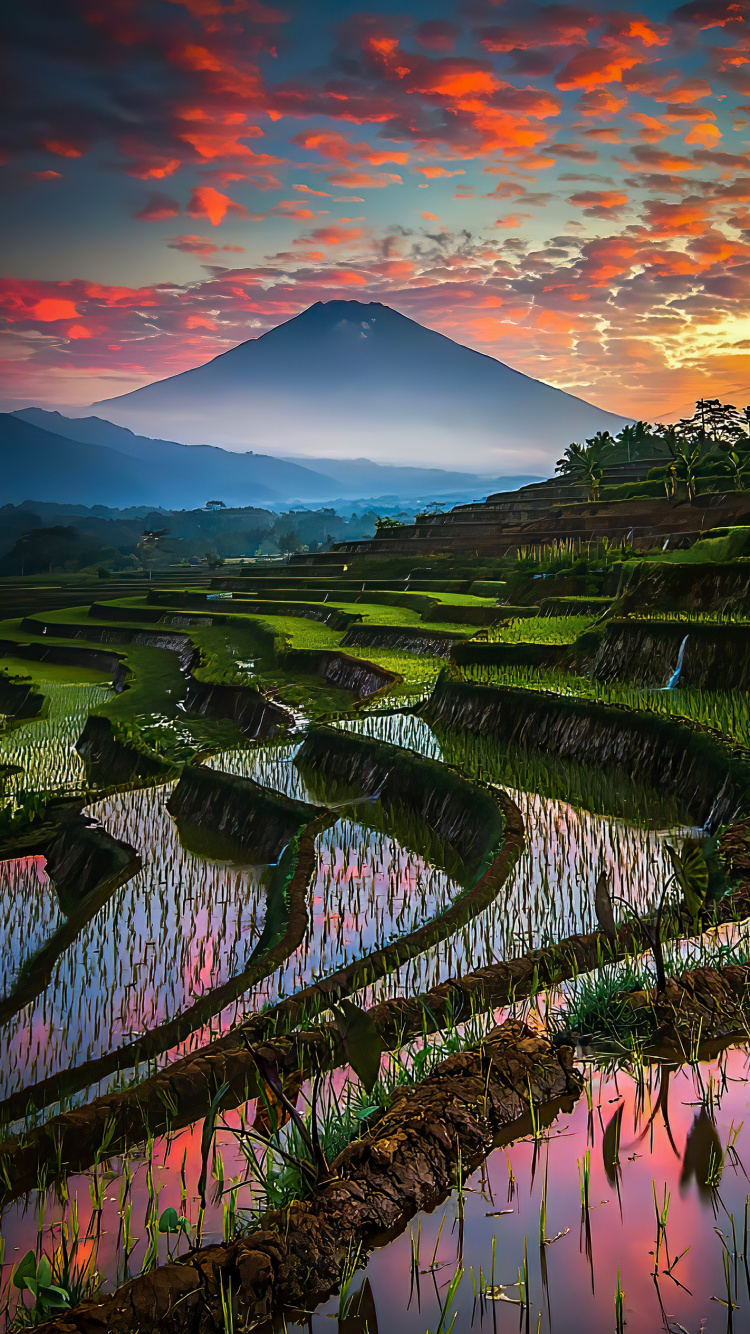 Обои бали, центральная ява, облако, растение, гора в разрешении 750x1334