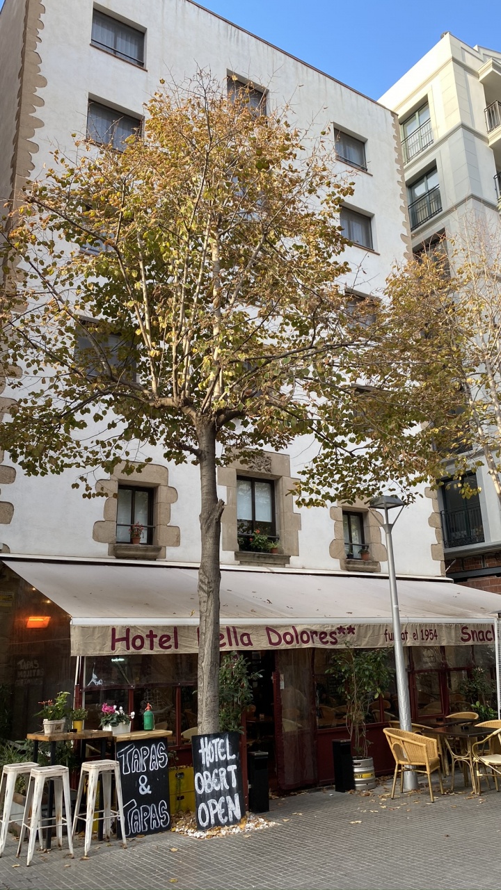 Обои смешанное использование, недвижимость, здание, квартира, уличная мебель в разрешении 720x1280