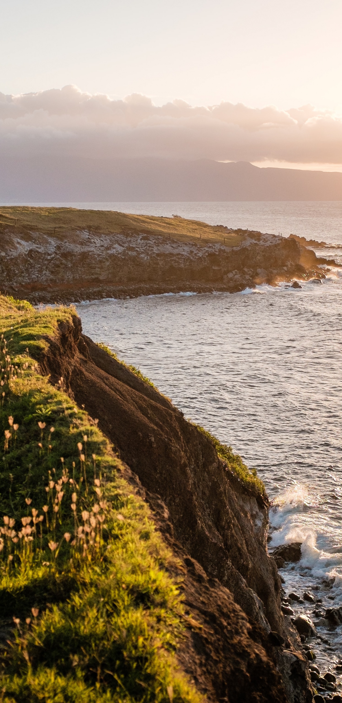 Обои рафтинг, облако, вода, растение, природный ландшафт в разрешении 1440x2960