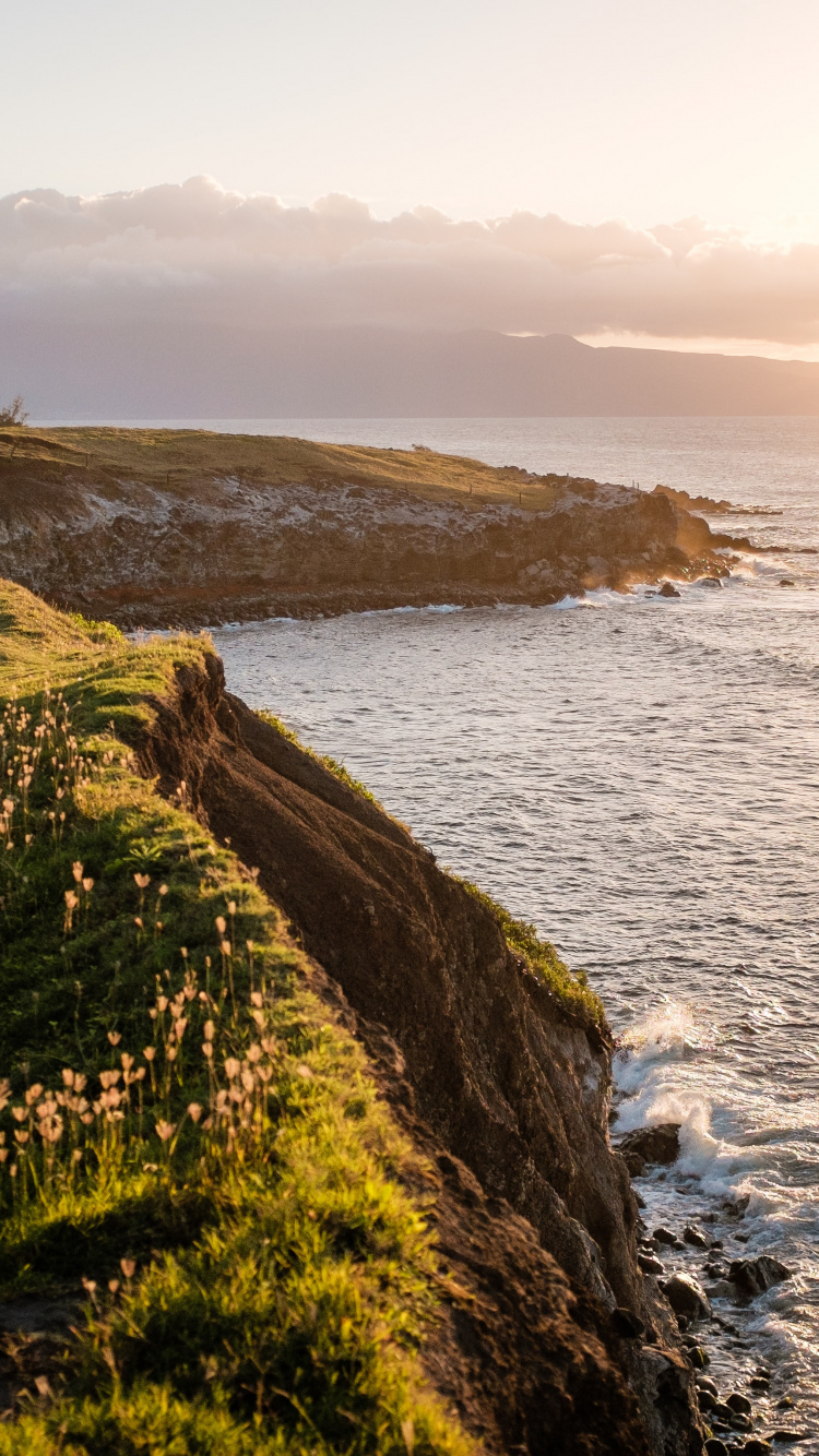 Обои рафтинг, облако, вода, растение, природный ландшафт в разрешении 750x1334