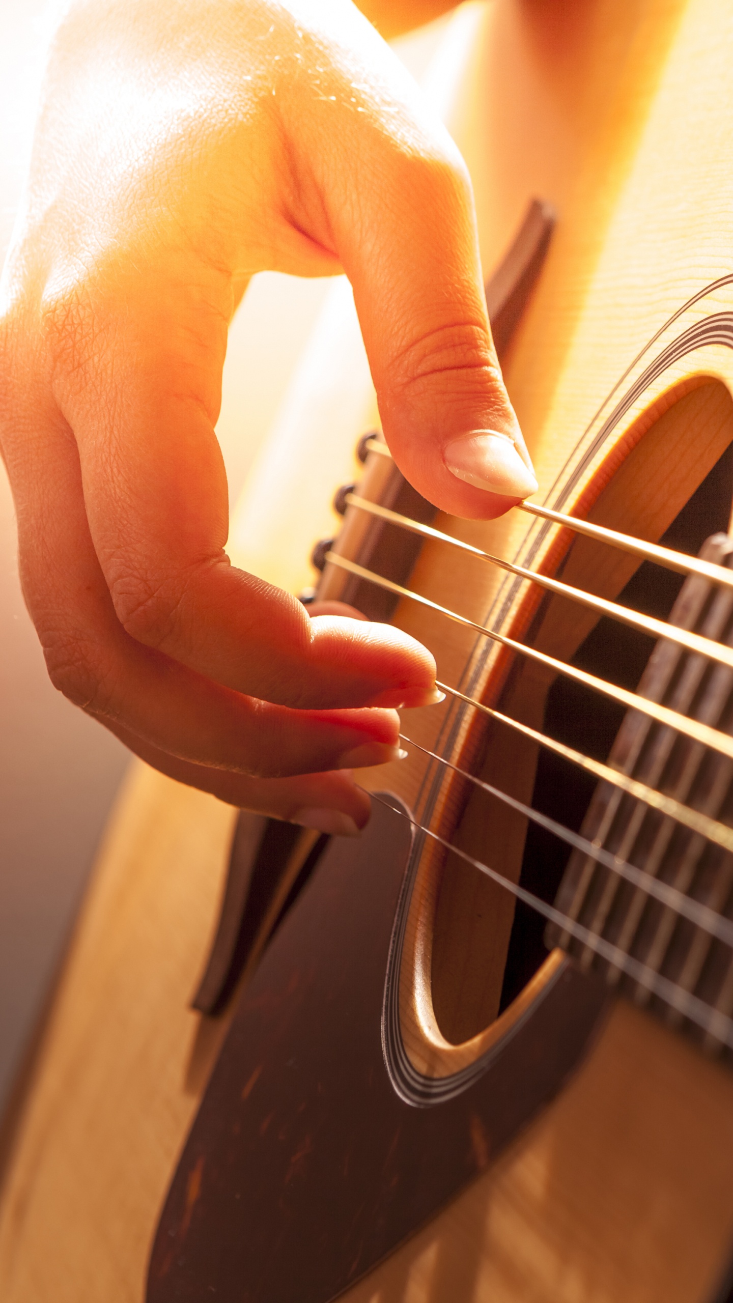 Обои гитара, акустическая гитара, басгитара, струнный инструмент, щипковые струнные инструменты в разрешении 1440x2560