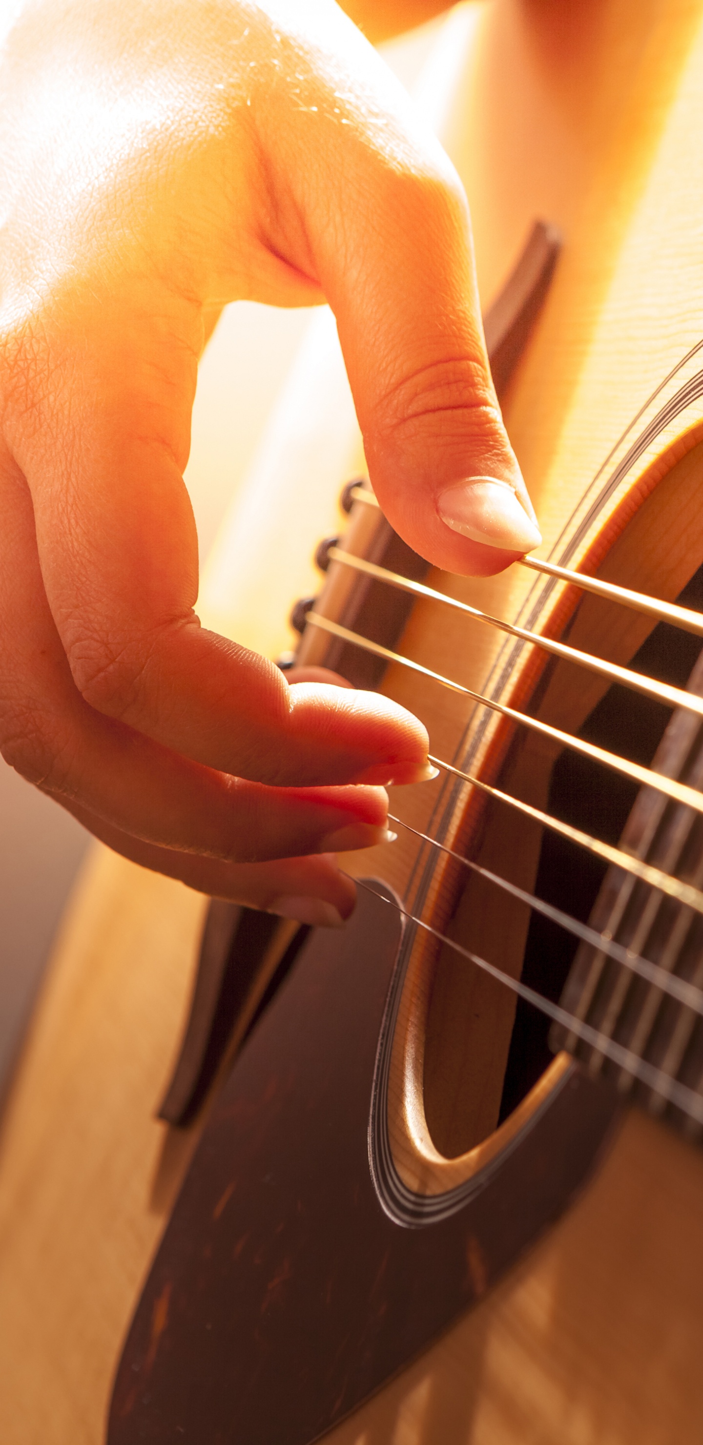 Обои гитара, акустическая гитара, басгитара, струнный инструмент, щипковые струнные инструменты в разрешении 1440x2960