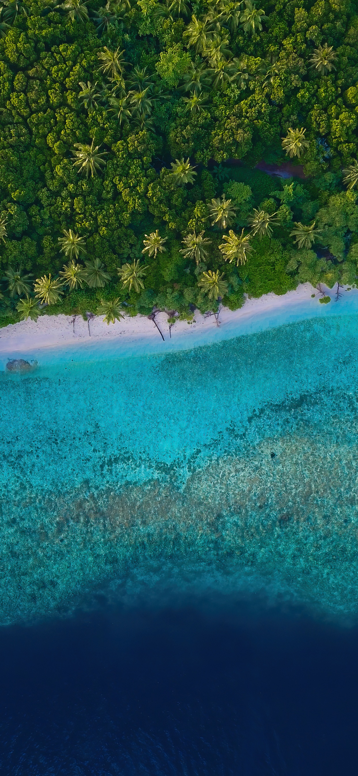 Обои природа, вода, гидроресурсы, синий, лазурный в разрешении 1242x2688