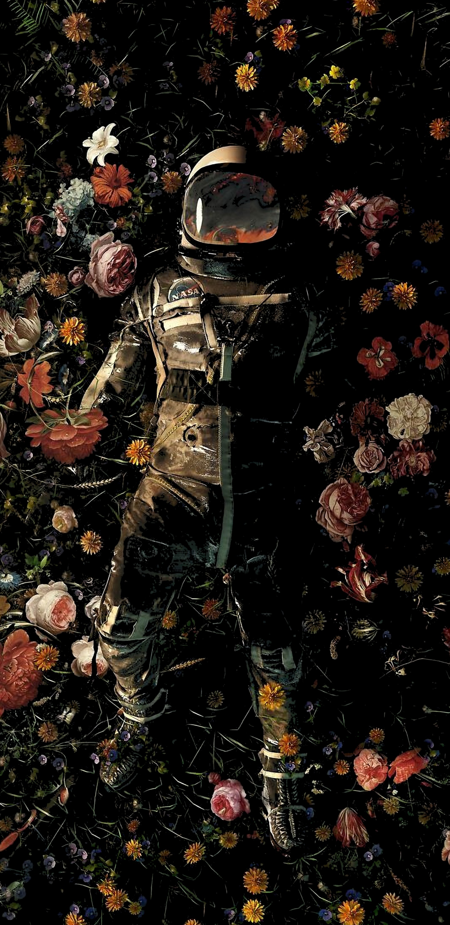 Обои садовые прелести, приятное садовое наслаждение, стена, иканвас, холст стены искусства в разрешении 1440x2960