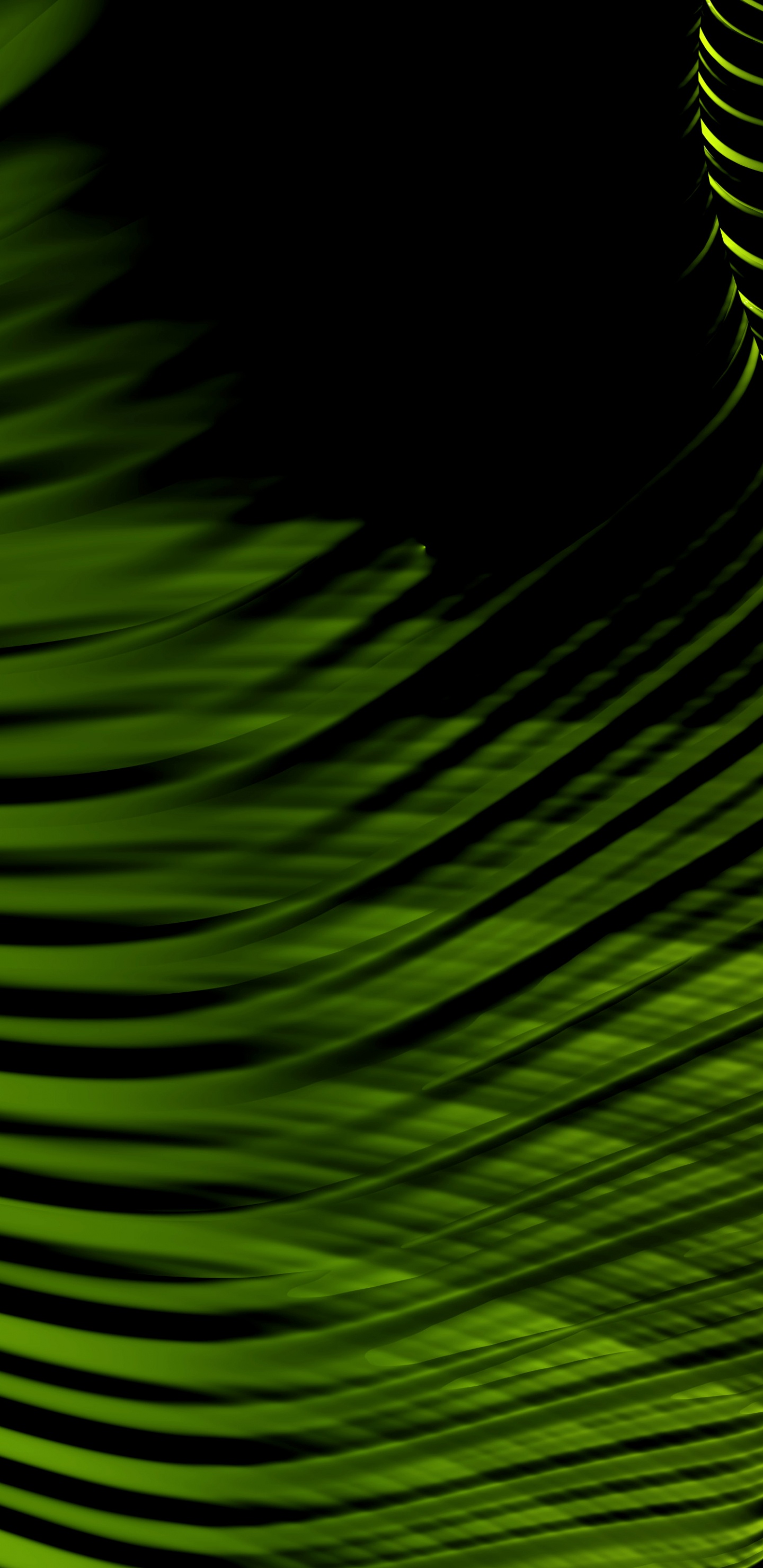 Обои зеленый, графика, узор, фрактальное искусство, растительность в разрешении 1440x2960