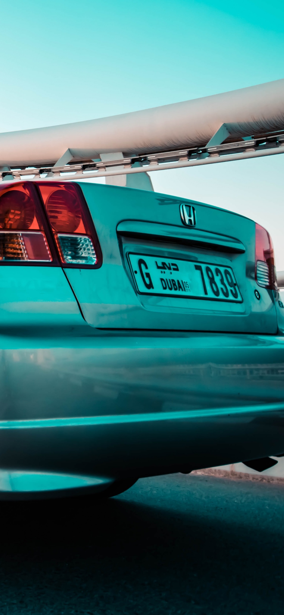 Обои Honda Civic Type R, авто, Хонда, семейный автомобиль, бампер в разрешении 1125x2436