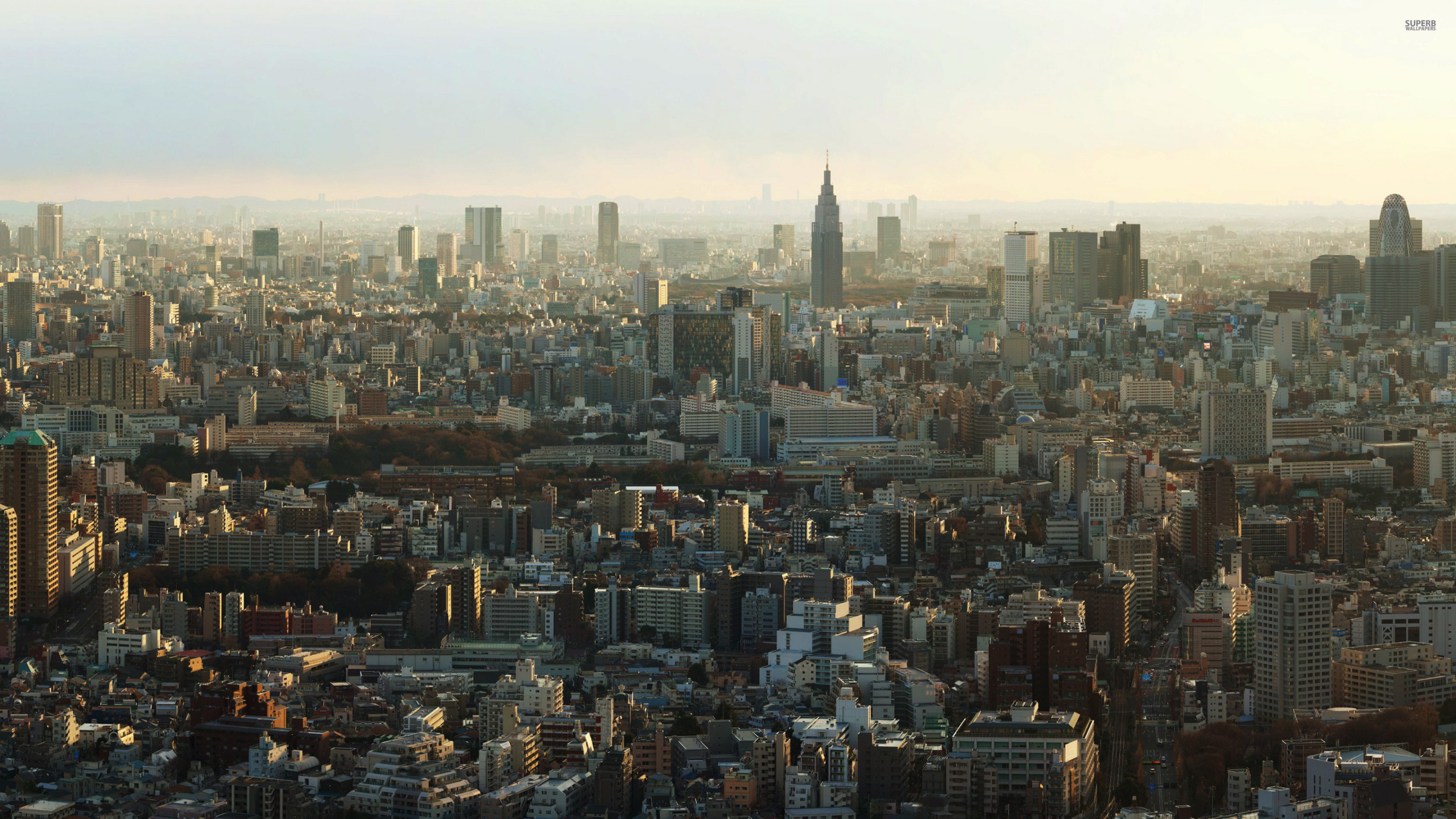 Обои городской пейзаж, город, городской район, метрополия, линия горизонта в разрешении 2560x1440