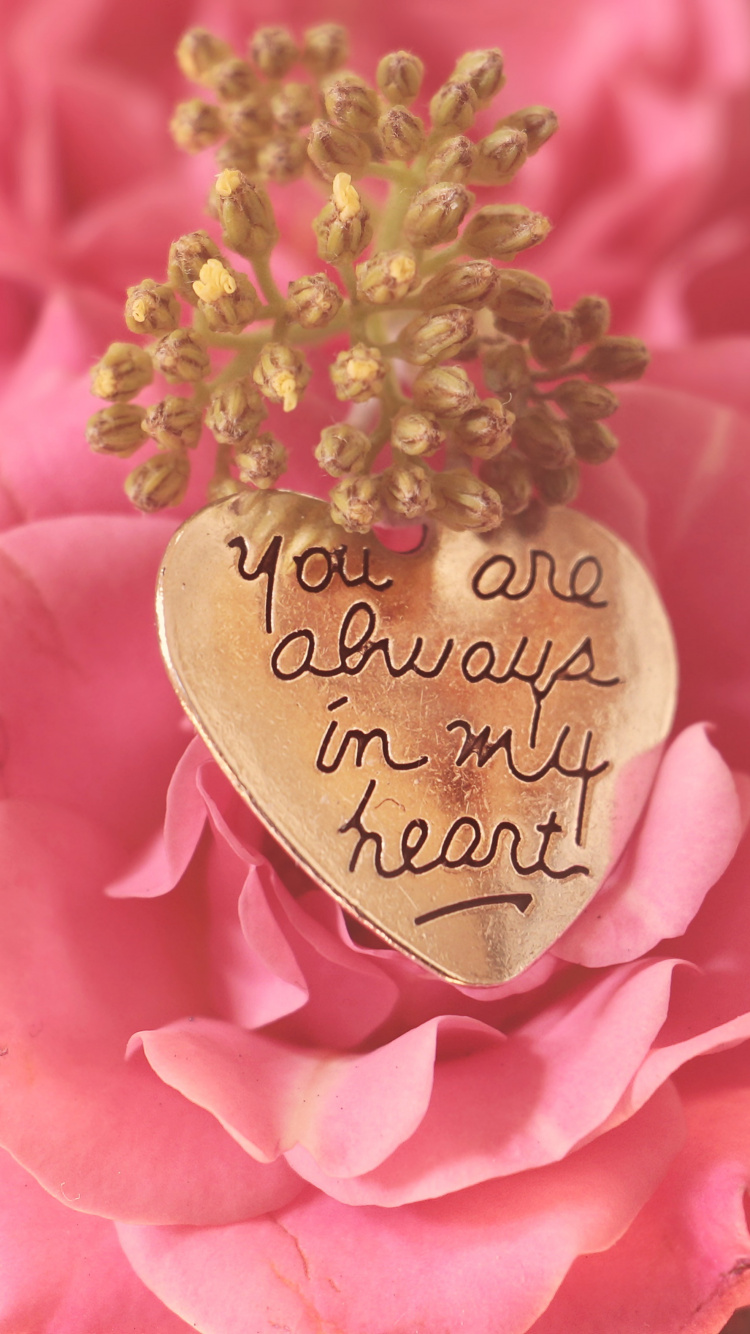 Обои День Святого Валентина, розовый, сад роз, цветок, лепесток в разрешении 750x1334