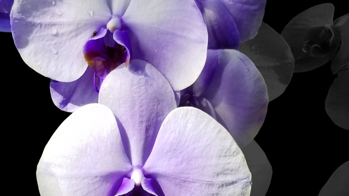 Обои амолед, OLED, ios, андроид, синий в разрешении 1366x768