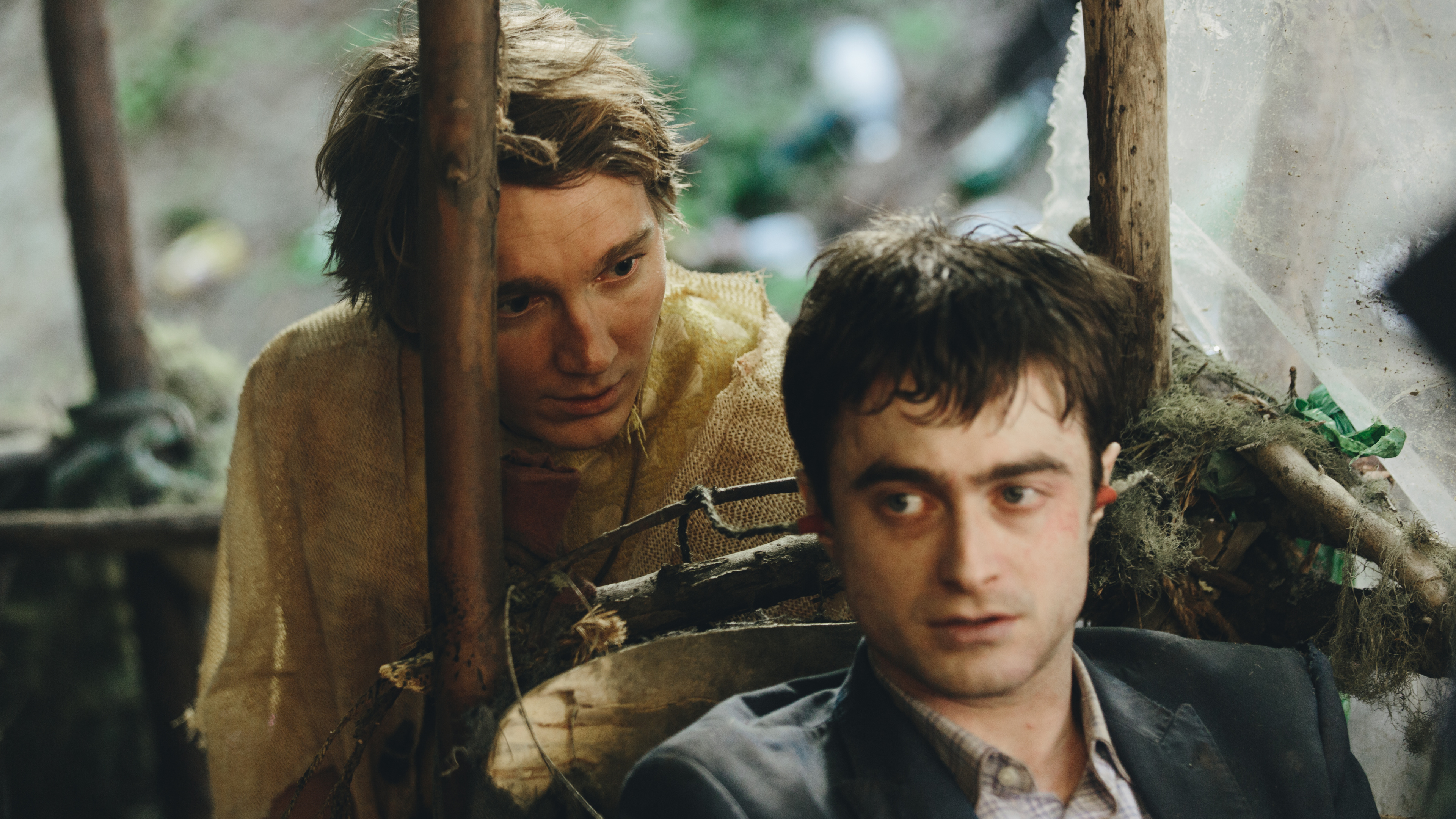 Обои Швейцарский Армейский Человек, Дэниел Редклифф, Кинофестиваль Сандэнс, Дэниел, кино в разрешении 3840x2160