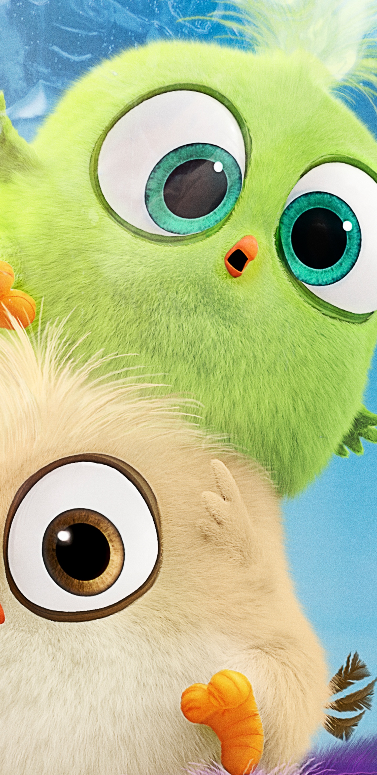 Обои постер, кинотеатр, ткань, мягкая игрушка, злые птицы фильм в разрешении 1440x2960