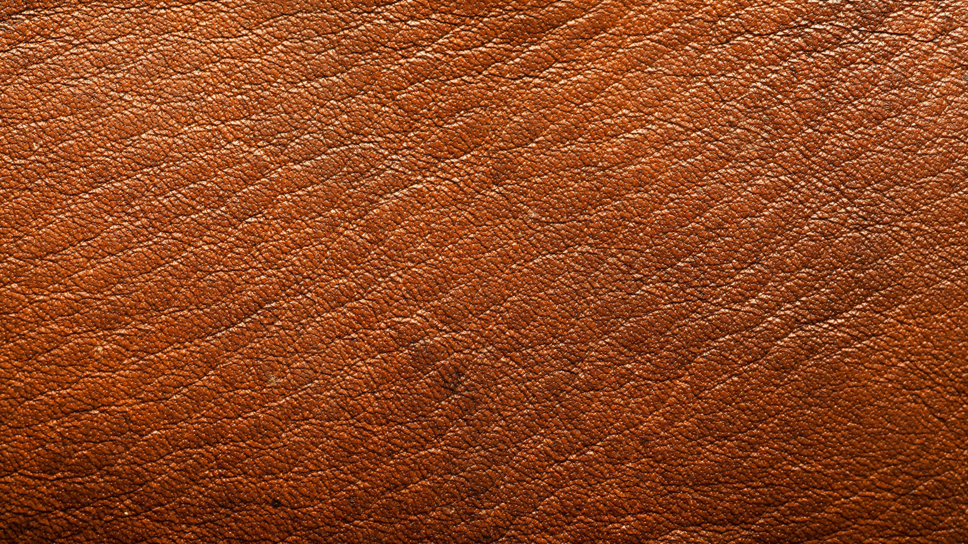 Обои Апельсин, коричневый цвет, древесина, шкура, рюкзак в разрешении 1920x1080