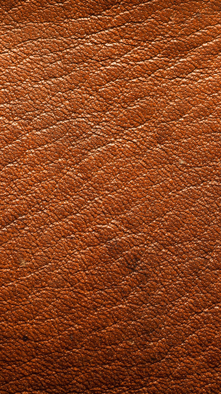Обои Апельсин, коричневый цвет, древесина, шкура, рюкзак в разрешении 750x1334