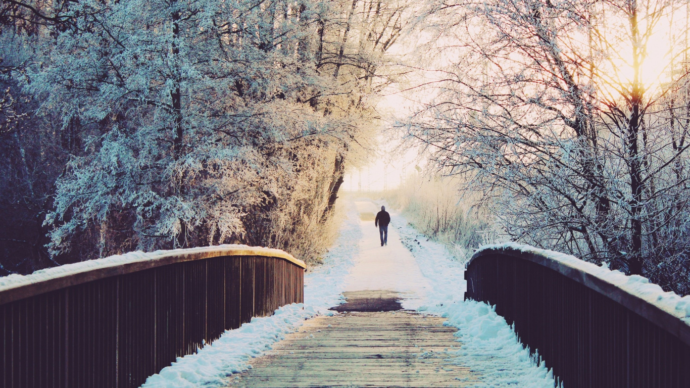 Обои Eastbourne Winter, зима, погода, снег, простуда в разрешении 1366x768