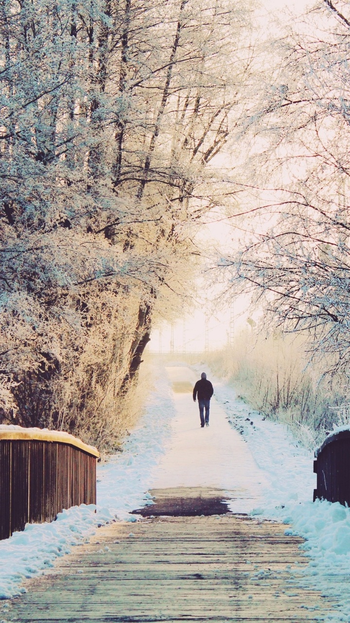 Обои Eastbourne Winter, зима, погода, снег, простуда в разрешении 720x1280