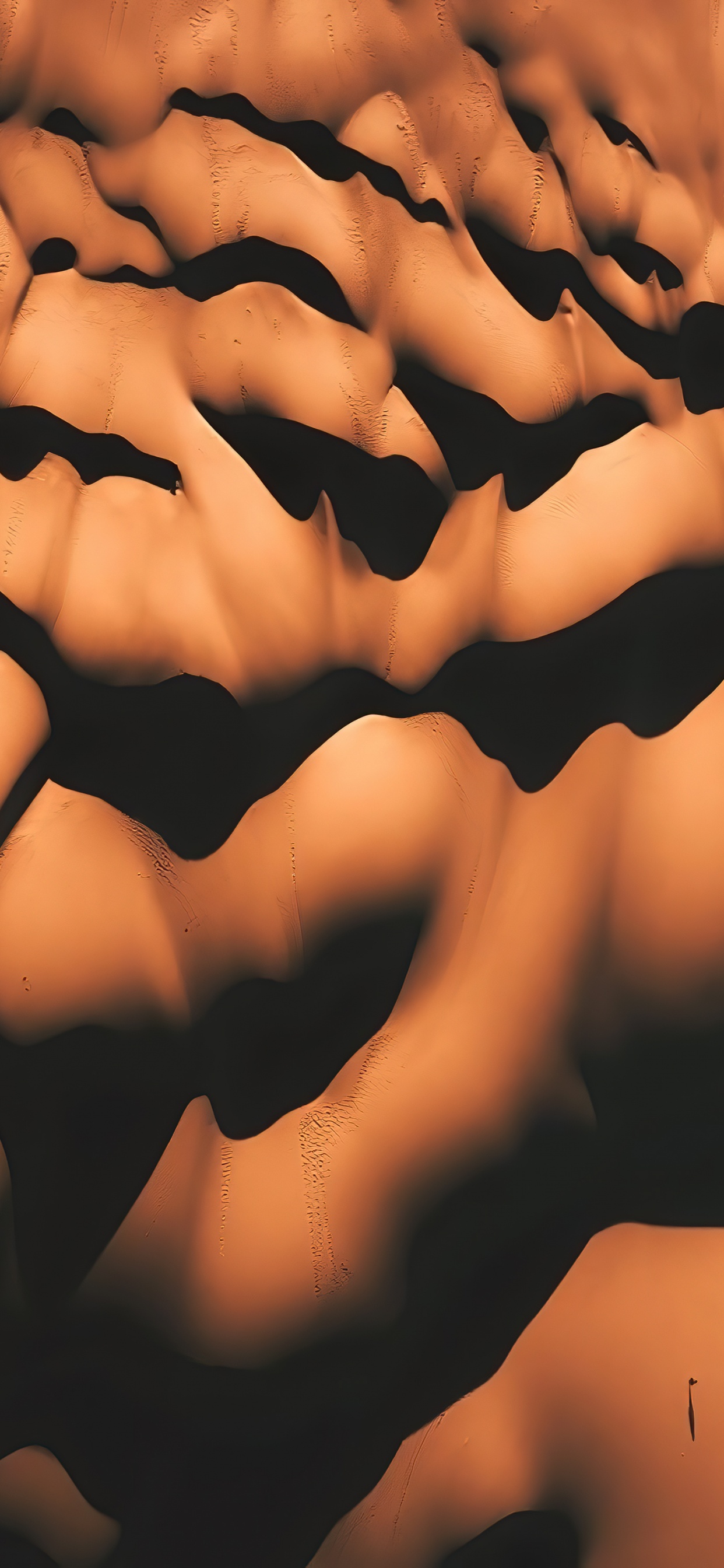 Обои крупный план, наука, биология человека, биология, человеческий скелет в разрешении 1242x2688