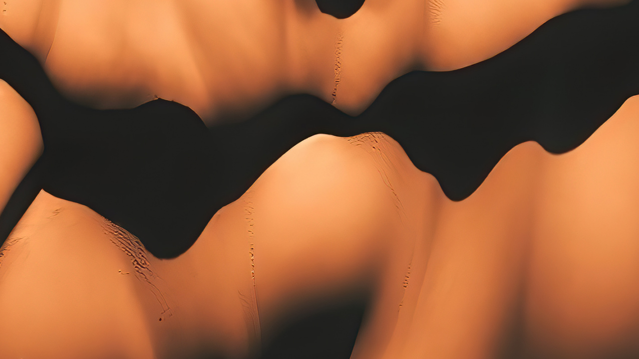 Обои крупный план, наука, биология человека, биология, человеческий скелет в разрешении 1280x720