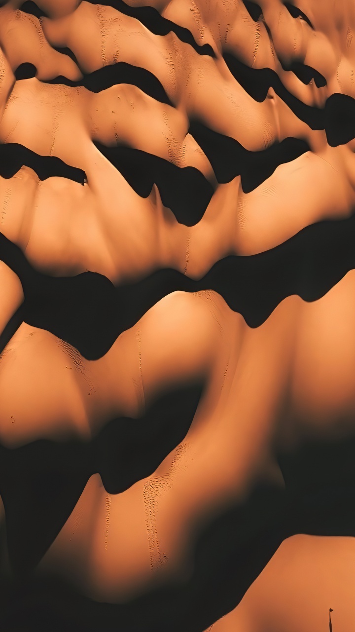 Обои крупный план, наука, биология человека, биология, человеческий скелет в разрешении 720x1280