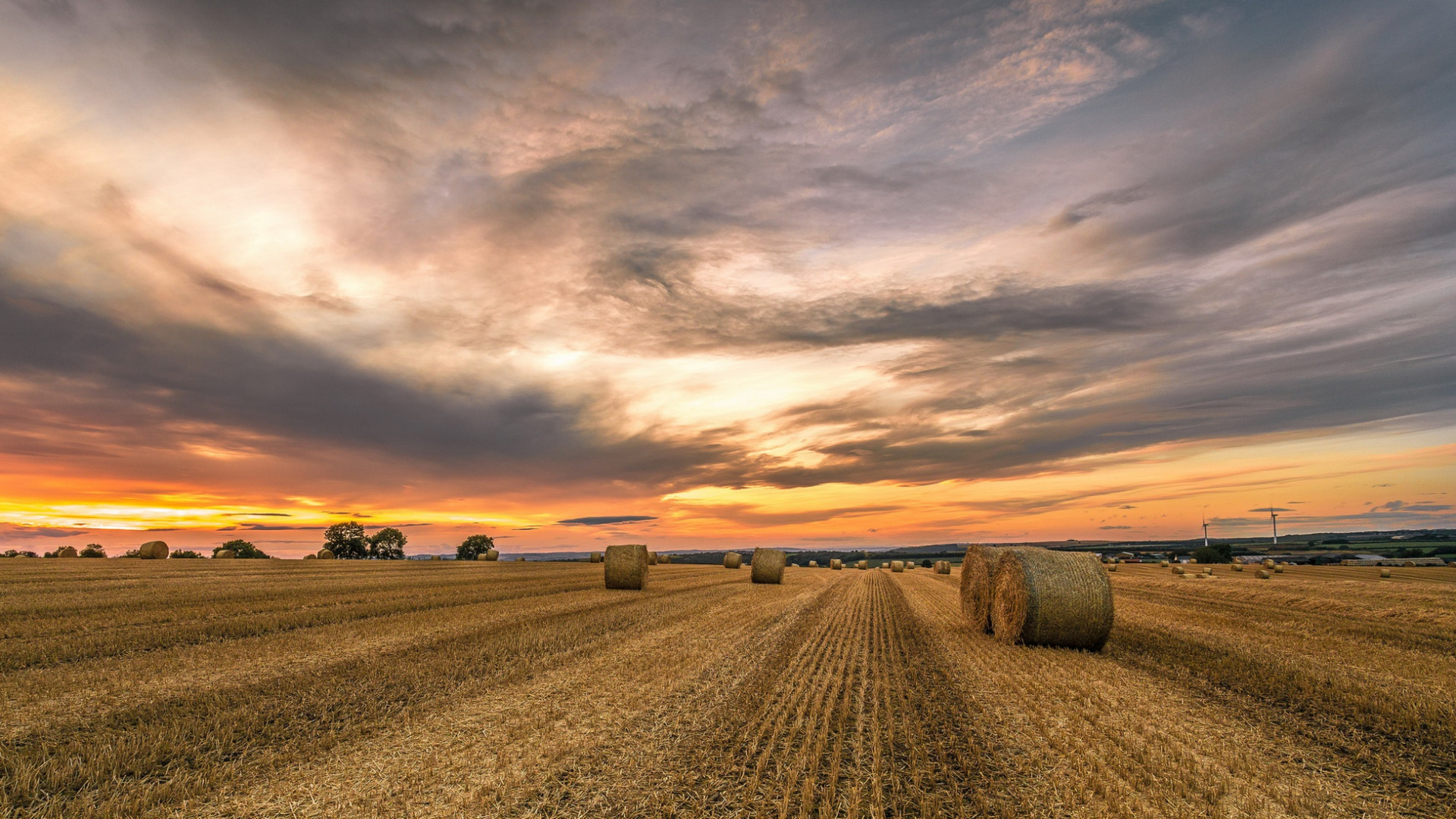 Обои пейзаж, поле, облако, горизонт, утро в разрешении 1920x1080