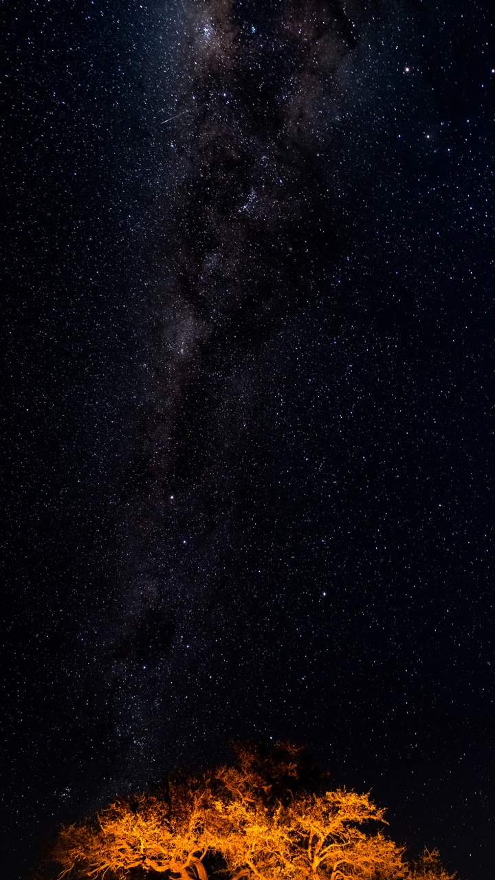 Обои звезда, Млечный Путь, Галактика, Астрономия, небесный объект в разрешении 720x1280