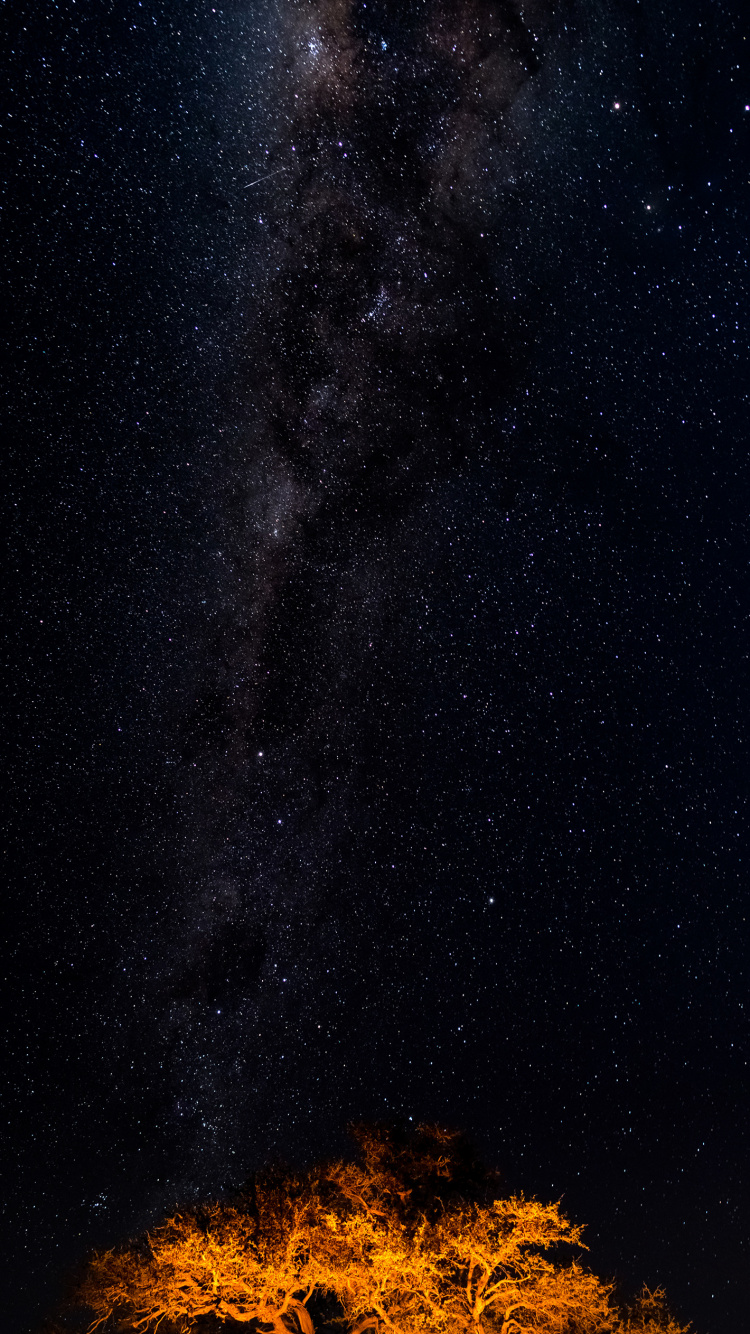 Обои звезда, Млечный Путь, Галактика, Астрономия, небесный объект в разрешении 750x1334