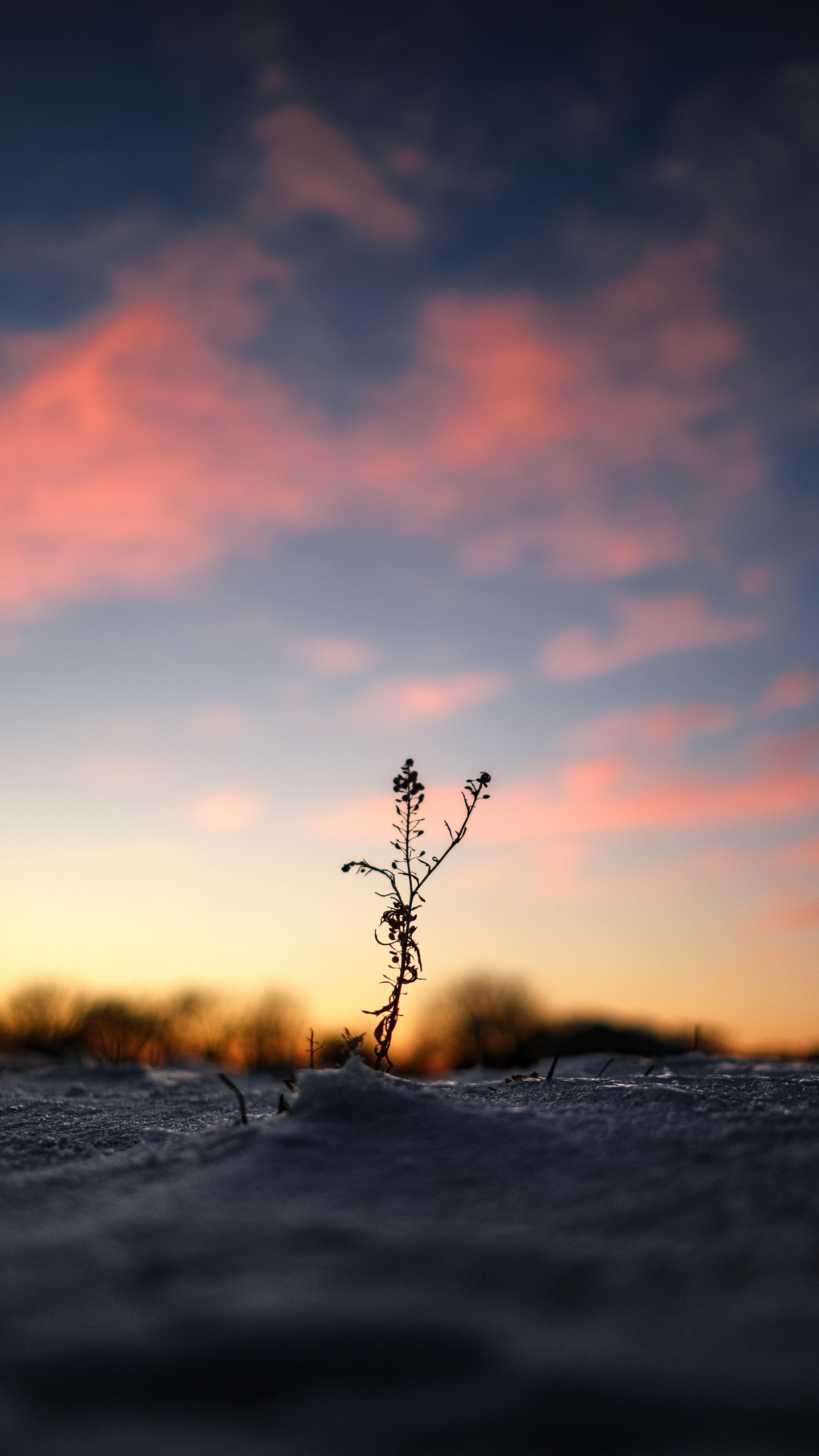 Обои закат, вода, горизонт, природа, облако в разрешении 1440x2560