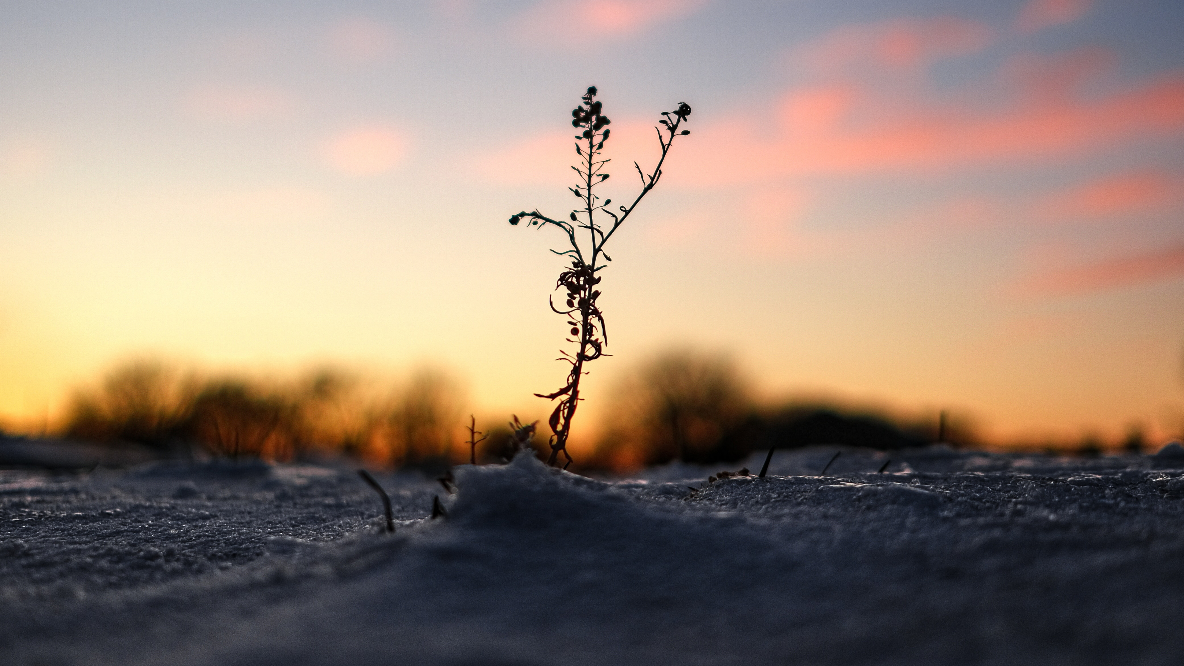 Обои закат, вода, горизонт, природа, облако в разрешении 3840x2160