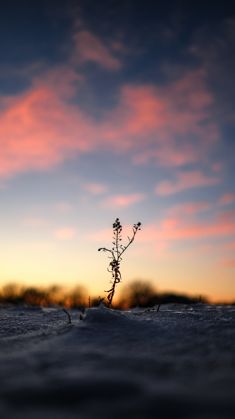 Обои закат, вода, горизонт, природа, облако в разрешении 750x1334