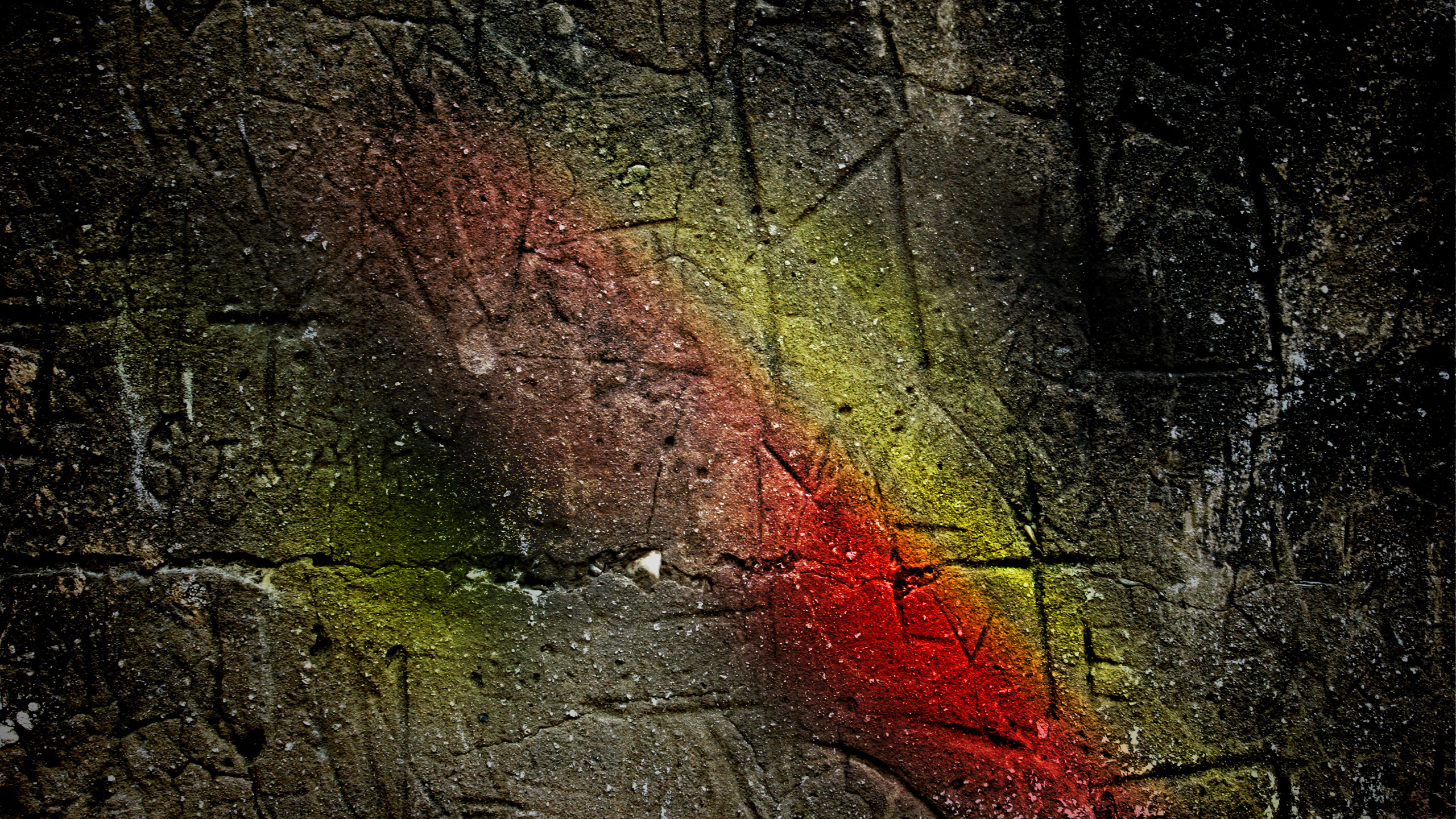 Обои лист, дерево, вода, стена, ветвь в разрешении 2560x1440