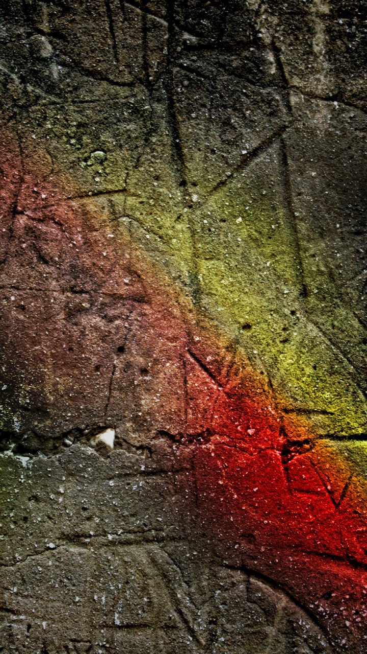 Обои лист, дерево, вода, стена, ветвь в разрешении 720x1280