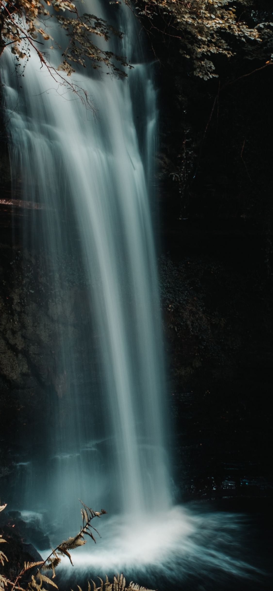 Обои природа, природный ландшафт, гидроресурсы, водоток, гамбургер в разрешении 1125x2436
