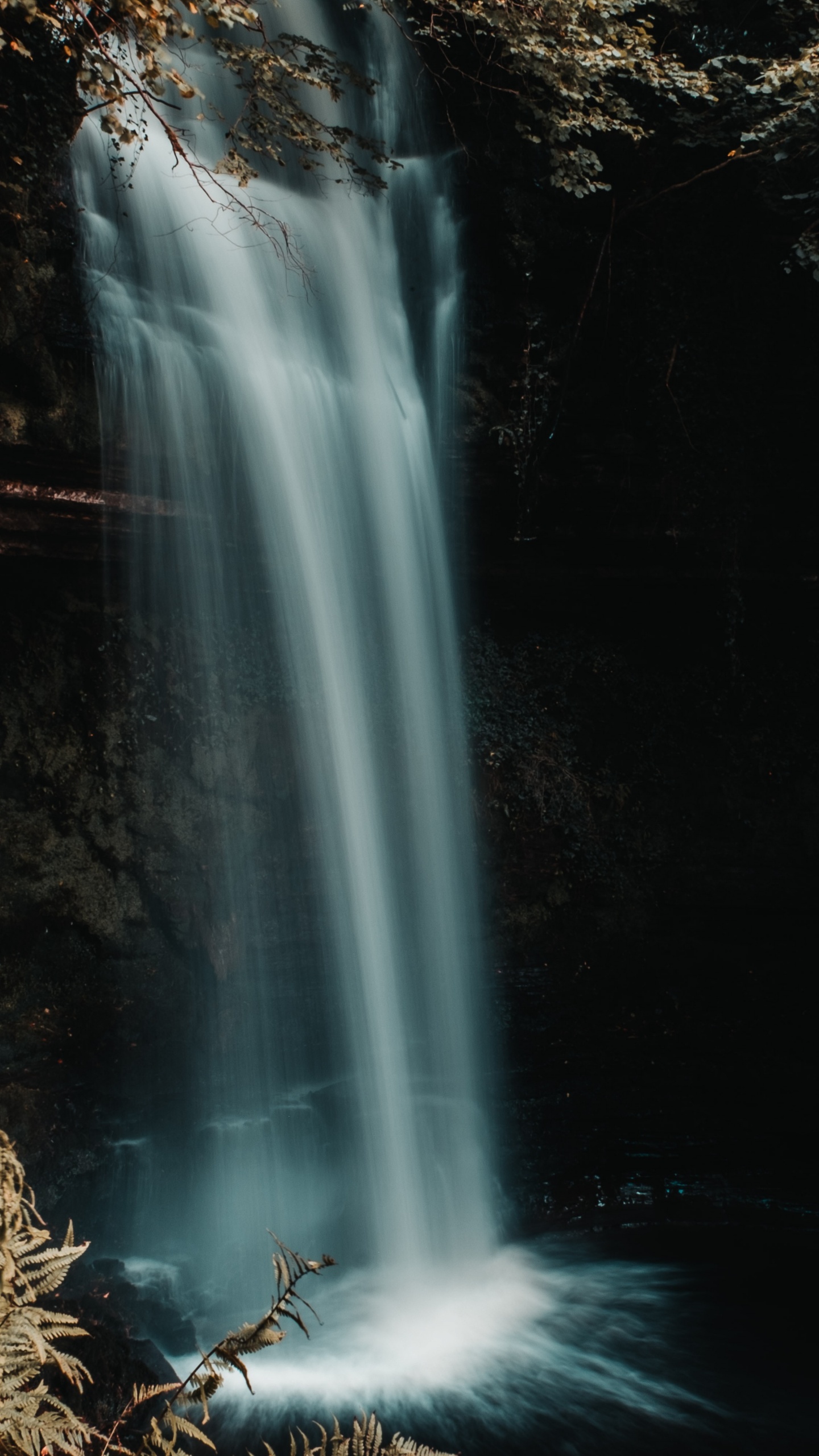 Обои природа, природный ландшафт, гидроресурсы, водоток, гамбургер в разрешении 1440x2560