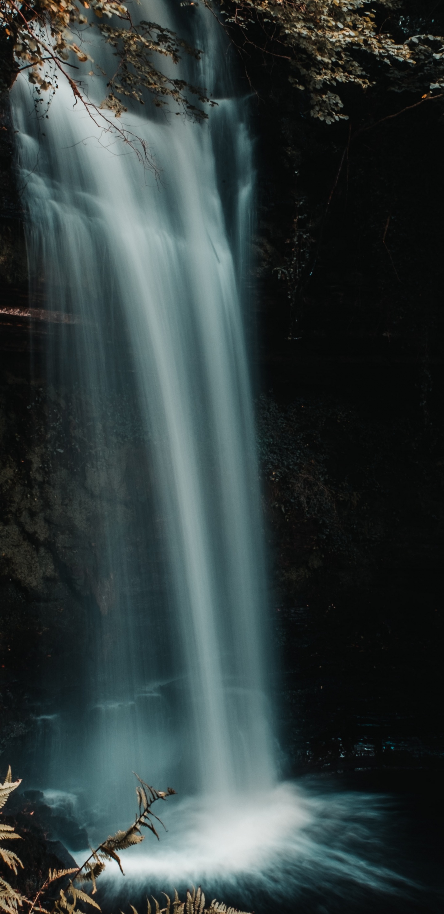 Обои природа, природный ландшафт, гидроресурсы, водоток, гамбургер в разрешении 1440x2960