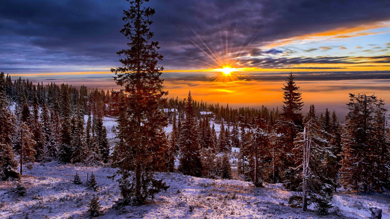 Обои Норвегия, снег, природа, зима, дикая местность в разрешении 1280x720