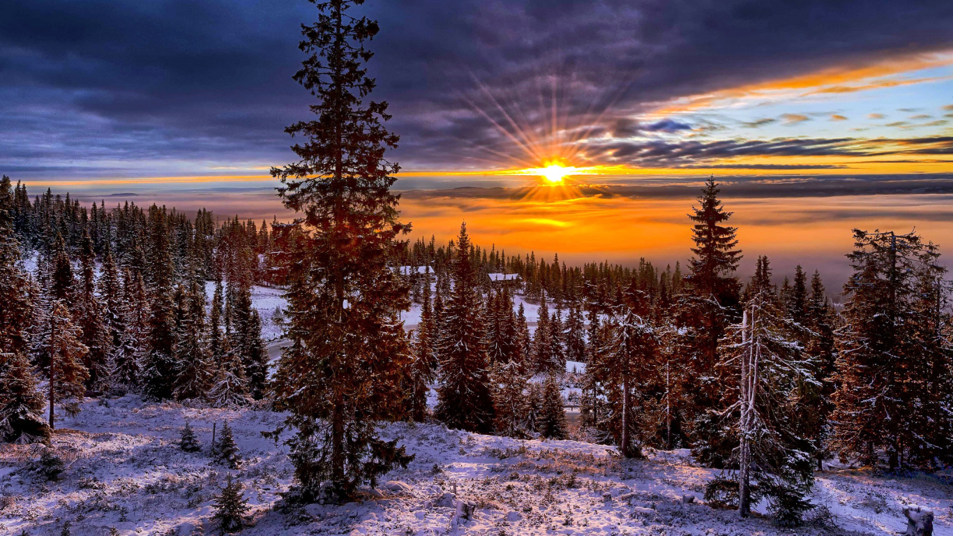 Обои Норвегия, снег, природа, зима, дикая местность в разрешении 1366x768