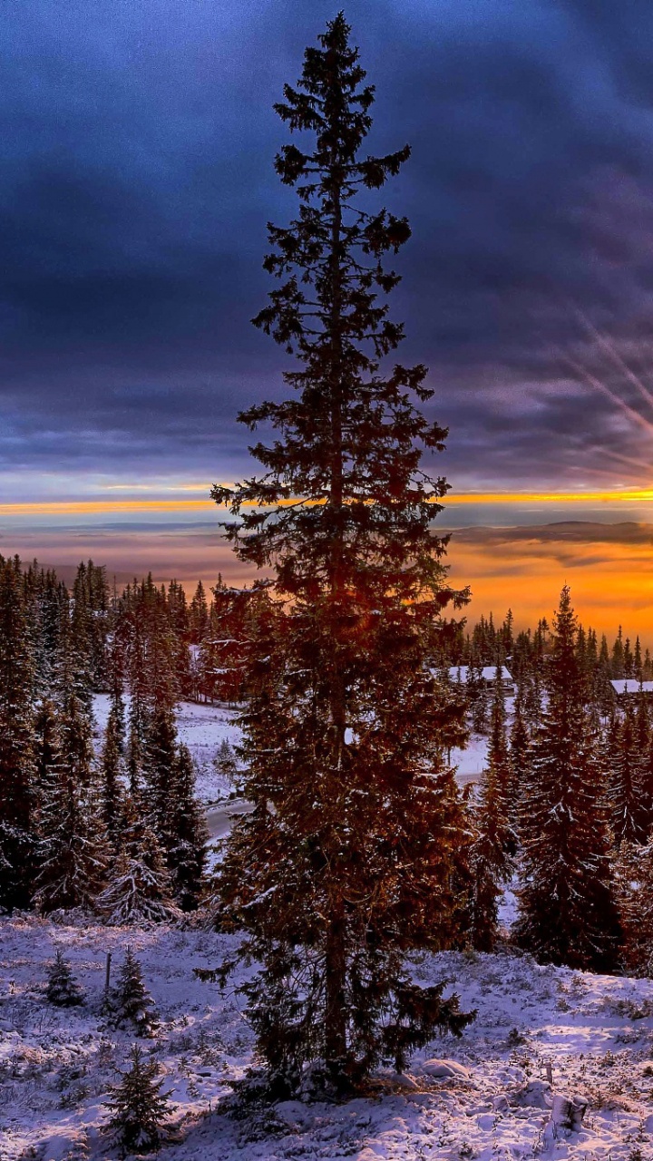 Обои Норвегия, снег, природа, зима, дикая местность в разрешении 720x1280