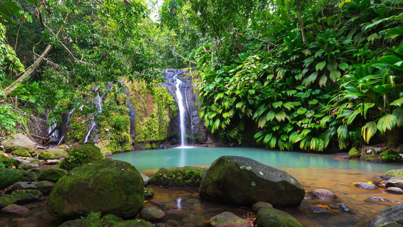 Обои джунгли, водопад, тропические леса, тропический лес, гидроресурсы в разрешении 1366x768