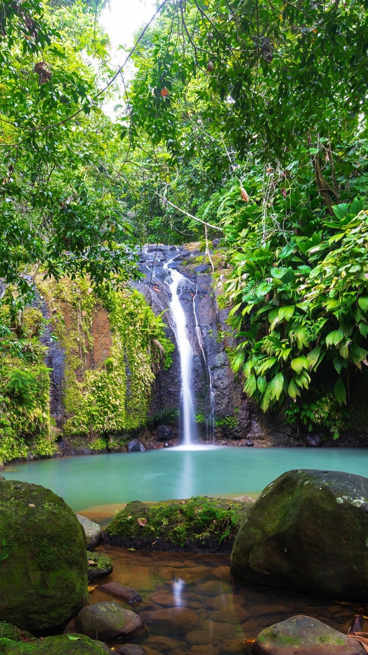 Обои джунгли, водопад, тропические леса, тропический лес, гидроресурсы в разрешении 720x1280