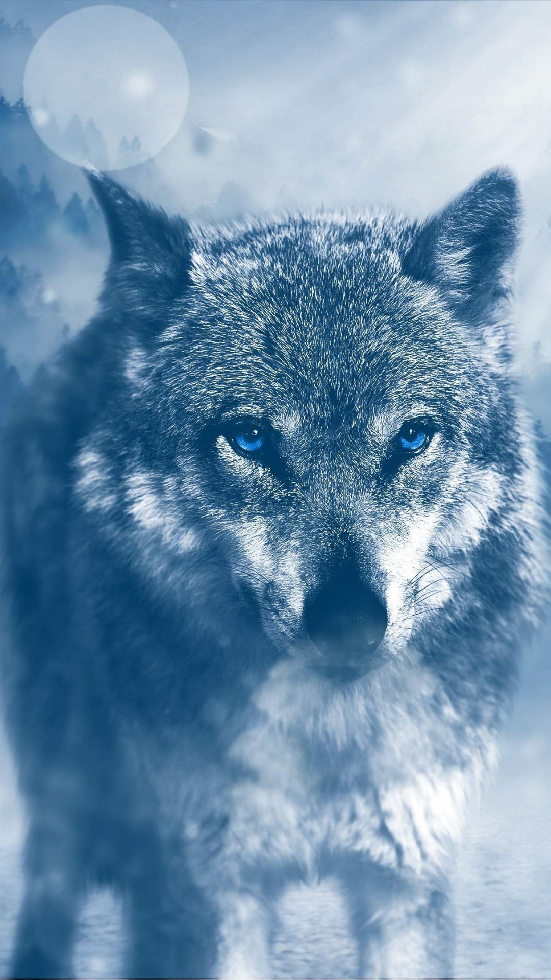 Обои волк, атмосфера, морда, дневное время, замораживание в разрешении 1080x1920