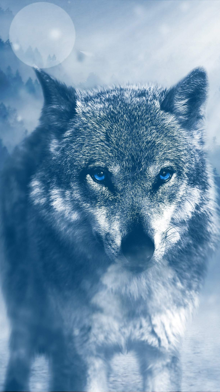Обои волк, атмосфера, морда, дневное время, замораживание в разрешении 750x1334
