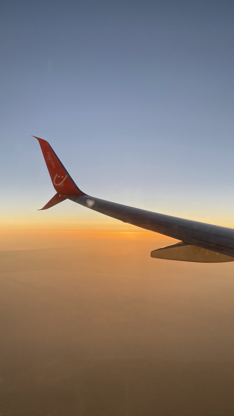 Обои воздушное путешествие, самолет, airbus a330, узкофюзеляжный самолет, самолеты в разрешении 750x1334